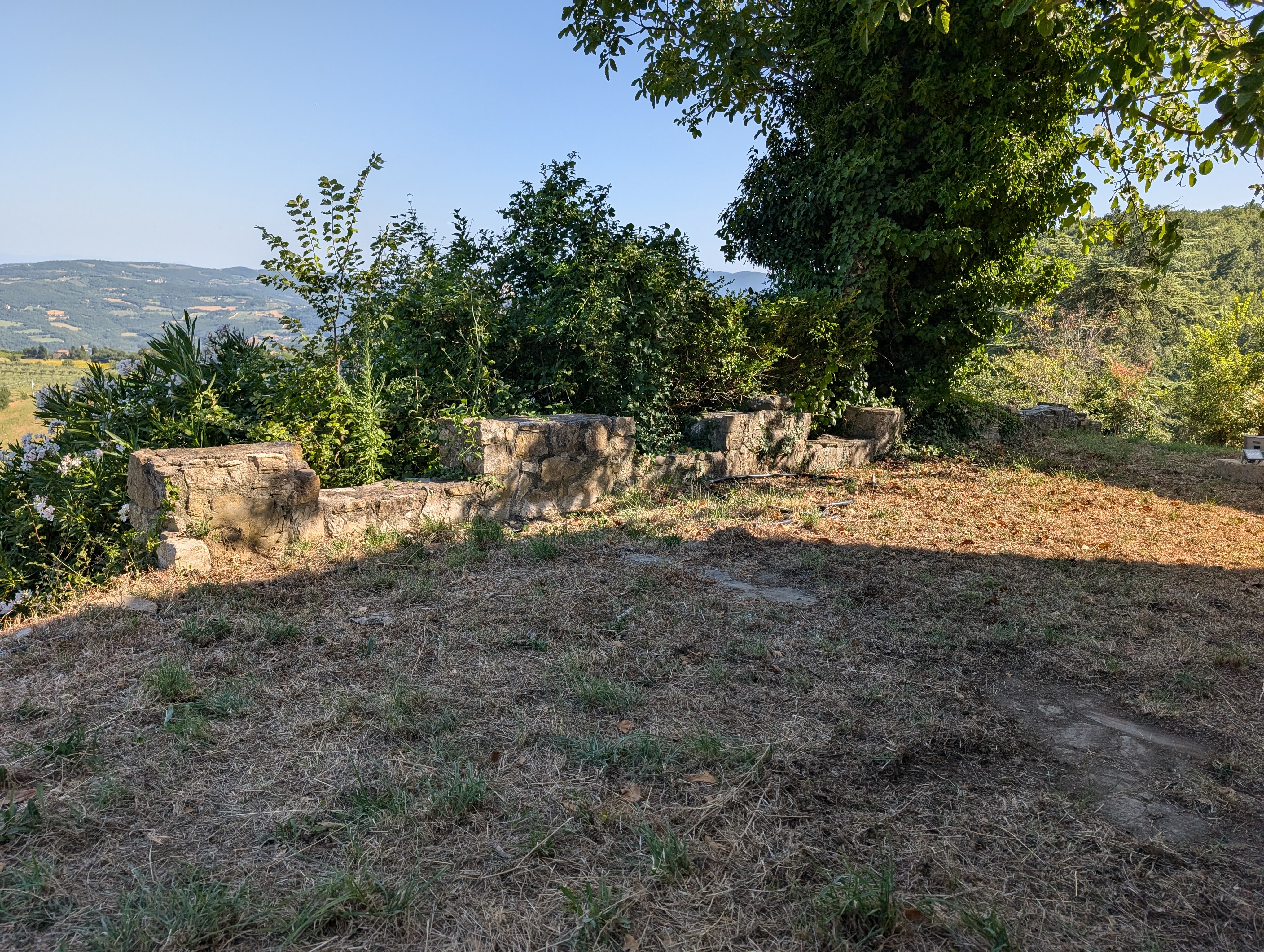 Medieval complex - crenellated wall