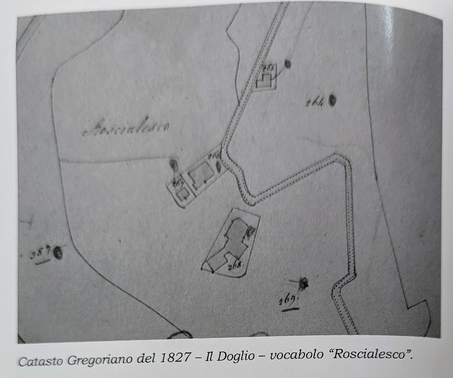 1827 Gregoriano Cadastral map of Roscialesco