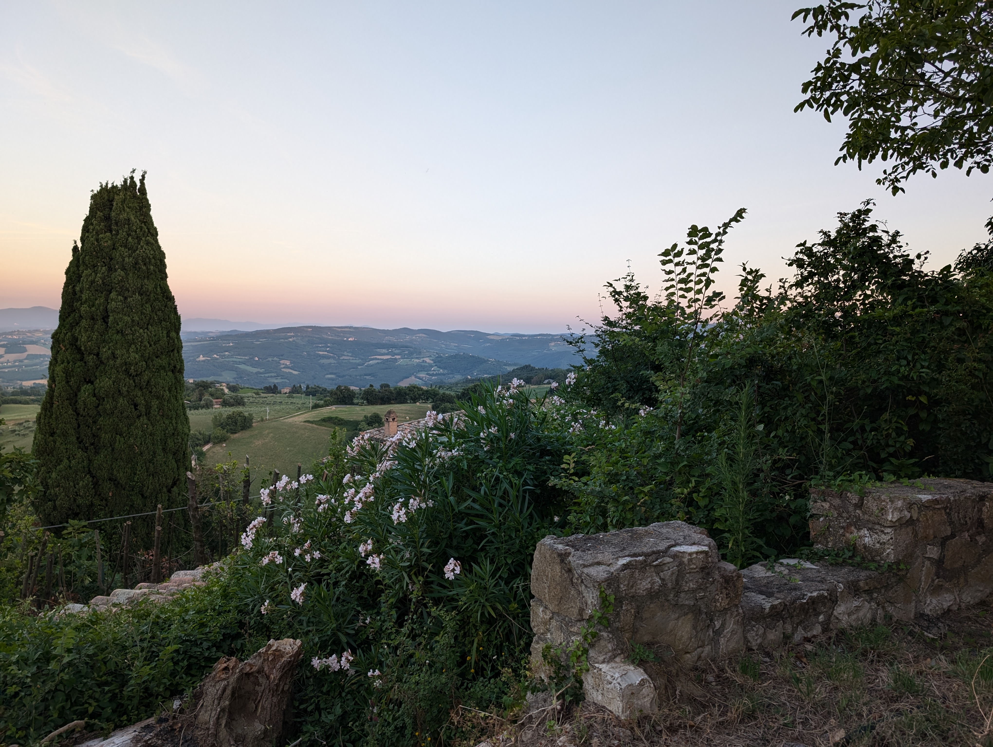 View over the cenellated wall in the Spring